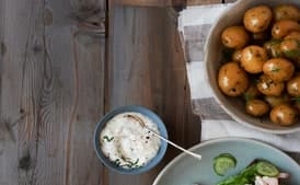 Shrimp and Cucumber Salad with Horseradish Mayo