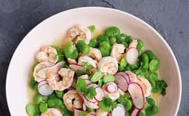 Shrimp And Fava Beans