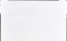 Shrimp in Ginger Butter Sauce