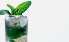 Sloppy Joe's Mojito