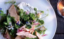 Smoked Trout with Pea Shoots and Spring Onions