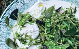 Snap Pea Salad with Burrata