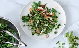 Snap Pea Salad with Coconut Gremolata