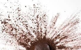 Soft Chocolate Cookies with Grapefruit and Star Anise