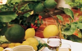 Spaghetti with Fresh Clams, Parsley, and Lemon