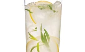 Sparkling Tarragon-Gin Lemonade