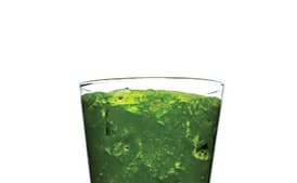 Spinach-Honeydew Cooler