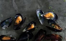 Steamed Mussels in White Wine