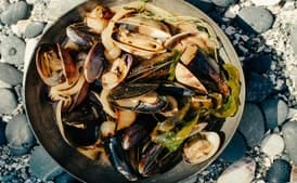 Stout-Steamed Shellfish with Charred Onions