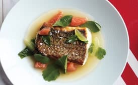 Striped Bass with Lime Broth
