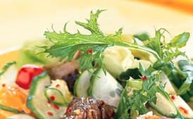 Summer Steak Salad with Ginger-Lime Dressing