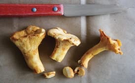 Tender Chanterelle Salad