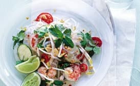 Thai Chicken and Shrimp Noodle Salad