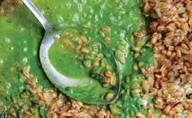 Toasted Barley Risotto with Spinach and Herb Purée