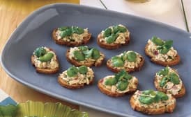 Tuna and Fava Crostini