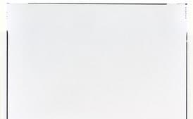 Vegetarian Cassoulet