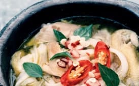 Vietnamese Chicken Noodle Soup