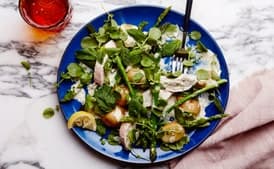 Warm Chicken Salad with Asparagus and Creamy Dill Dressing