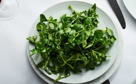Watercress Salad with Mustard Vinaigrette