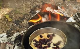 Wild Blueberry Steamed Pudding