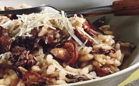 Wild Mushroom Risotto