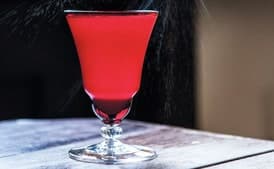 Winter of Our Content